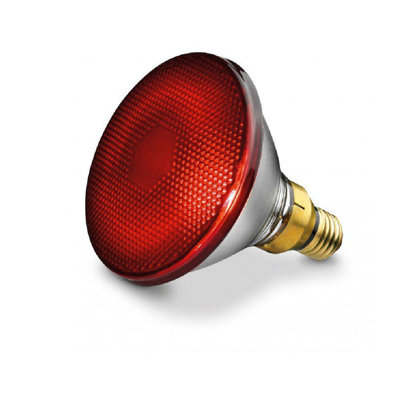 德國Beurer IL 35 紅外線照護燈